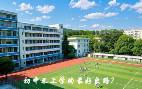 初中不上学的最好出路？