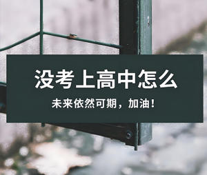 初中没有考上高中咋办？