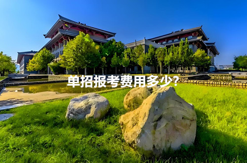 单招报考费用多少?
