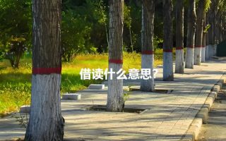 借读什么意思?