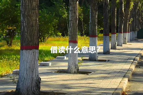 借读什么意思?