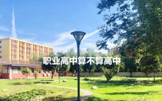 职业高中算不算高中？