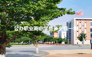 公办职业高中学费多少钱一年？