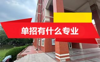 单招有什么专业？