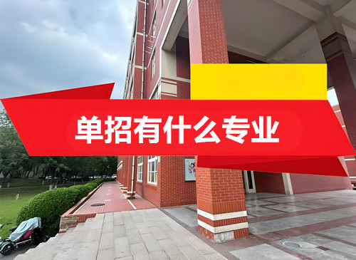 单招有什么专业