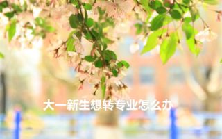 大一新生想转专业怎么办?