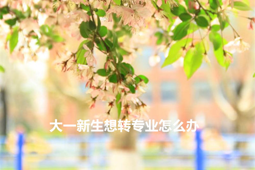 大一新生想转专业怎么办？