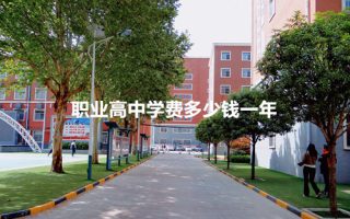 职业高中学费多少钱一年？