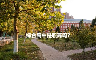 综合高中是职高吗？