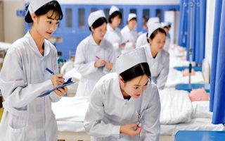 目前护理可以转的专业？