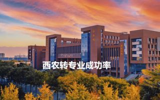 西农转专业成功率