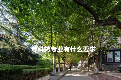 专科转专业有什么要求？