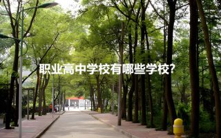 职业高中学校有哪些学校？