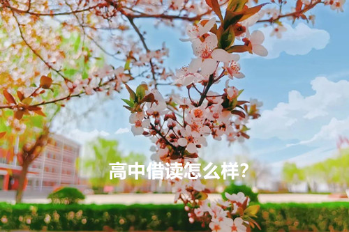 高中借读怎么样？
