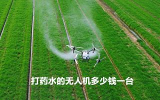 打药水的无人机多少钱一台?