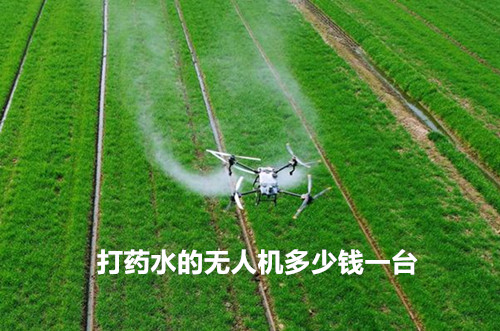 打药水的无人机多少钱一台？