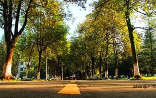 初中毕业上什么技校好啊？