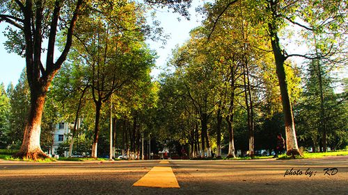 初中毕业上什么技校好啊？