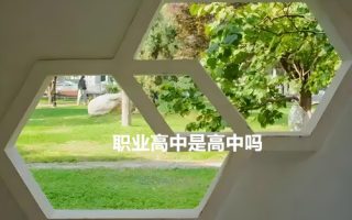 职业高中是高中吗？