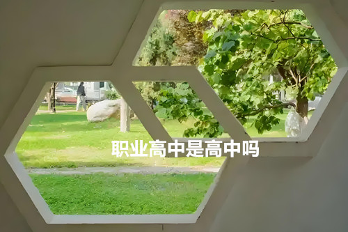 职业高中是高中吗？