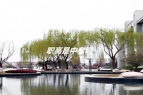 职高是中专吗？