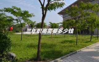 三年职高需要多少钱?
