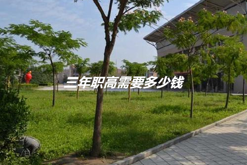 三年职高需要多少钱？