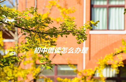 初中借读怎么办理？