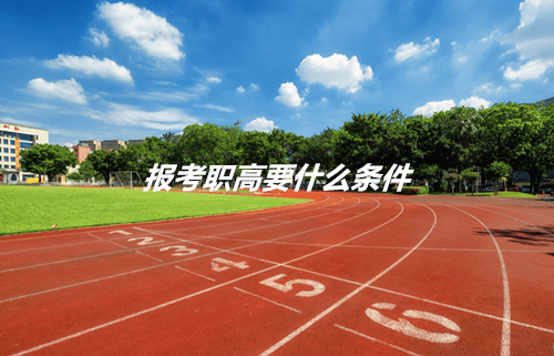 报考职高要什么条件?