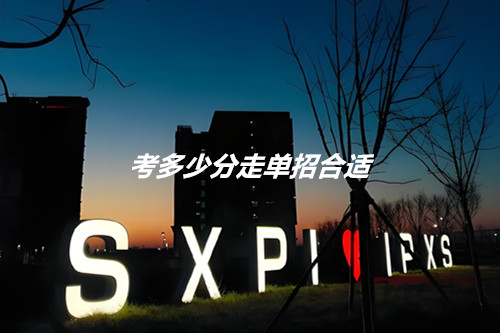 考多少分走单招合适?