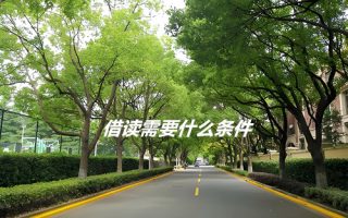 借读需要什么条件?