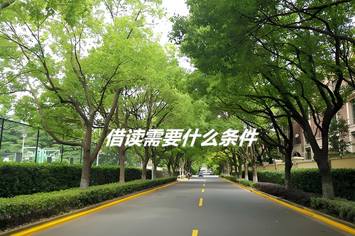 借读需要什么条件?