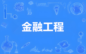 金融工程（本科）- 陕西服装工程学院