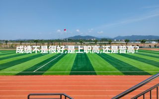 成绩不是很好,是上职高,还是普高？