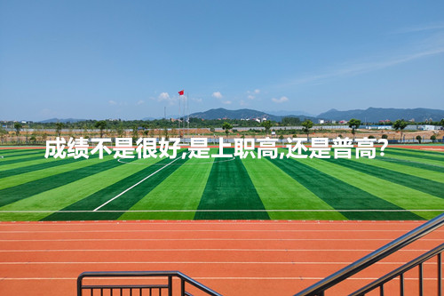 成绩不是很好,是上职高,还是普高?