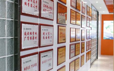 西安成才补习学校咋样？实探揭秘：别光看广告，这3点才是提分真相！