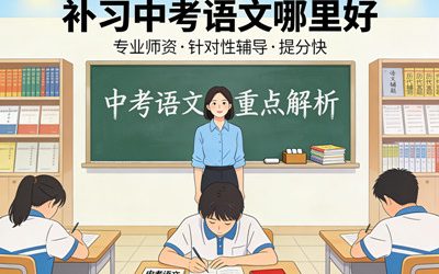 补习中考语文哪里好?