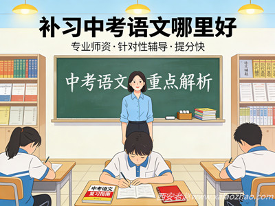 补习中考语文哪里好?