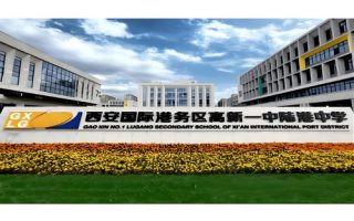 高新一中陆港中学