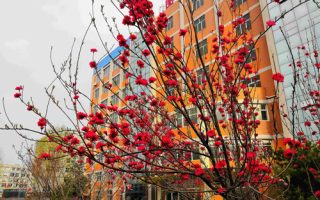 陕西科技卫生学校