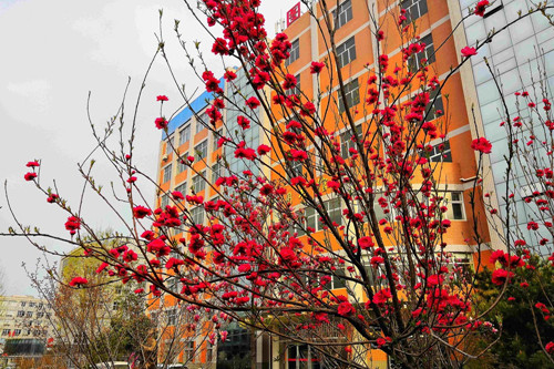 陕西科技卫生学校