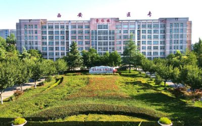 西安医专2026分类考试成绩发布！4月8日开启刷证注册，防骗指南必看