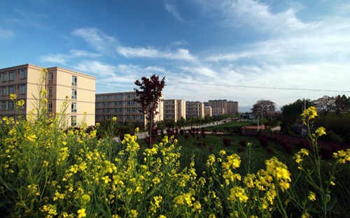 西安职院2026分类考试招生预录取分数线公布！8-9日现场注册，逾期作废