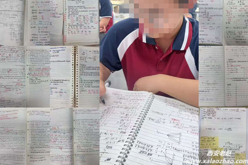 西安文承补习学校作业检查情况