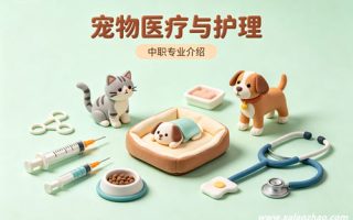 宠物医疗与护理专业