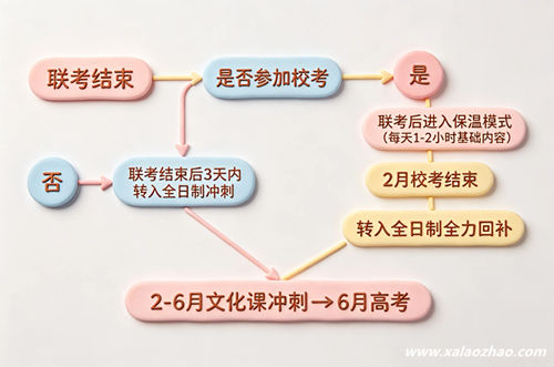 艺考生什么时候开始补文化课：联考后与校考后两条时间线的判断流程
