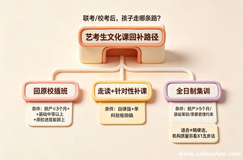 艺考生联考后文化课回补三条路径：回原校、走读补课、全日制集训的条件对比