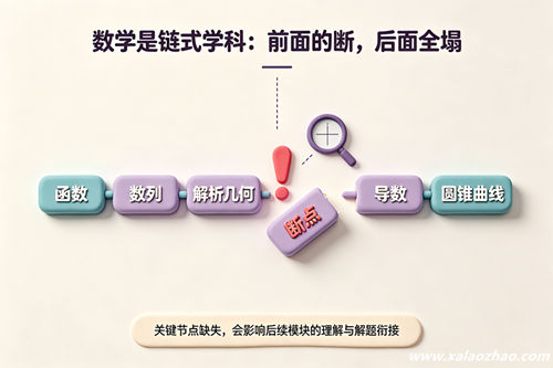 高中数学知识链：函数、数列、解析几何、导数环环相扣，断点处用放大镜标记