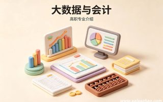 大数据与会计专业