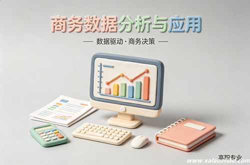 商务数据分析与应用专业